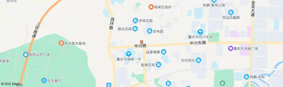 重庆铜梁中医院_公交站地图_重庆公交_妙搜公交查询2025