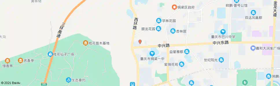重庆九洲市场_公交站地图_重庆公交_妙搜公交查询2025