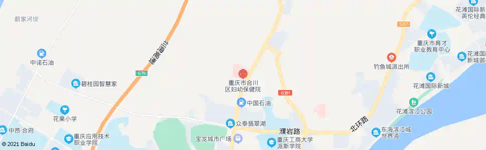 重庆合川妇幼保健院_公交站地图_重庆公交_妙搜公交查询2025