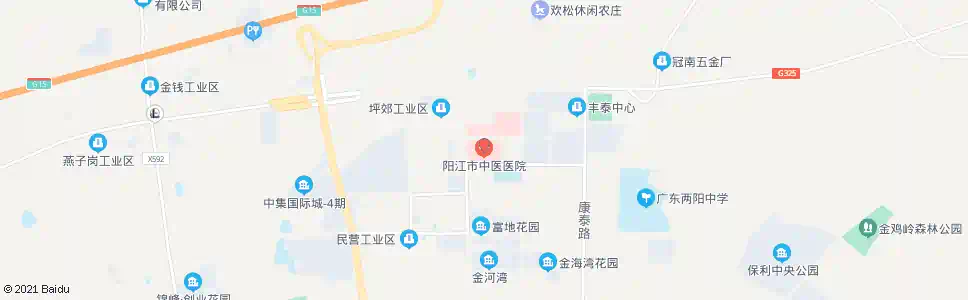 阳江市中医院(新)_公交站地图_阳江公交_妙搜公交查询2025