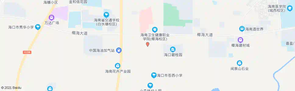 海口椰海粮油市场_公交站地图_海口公交_妙搜公交查询2025