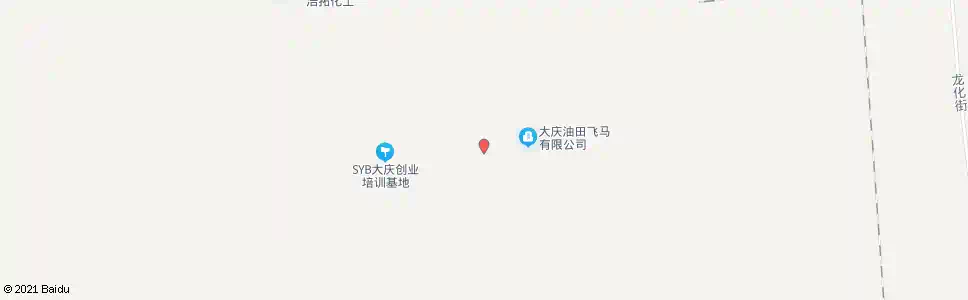 大庆飞马油脂公司_公交站地图_大庆公交_妙搜公交查询2025