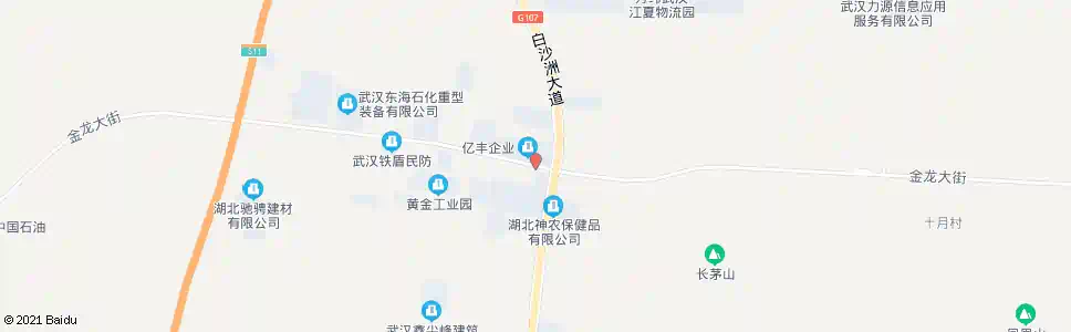 武汉金龙大街107国道_公交站地图_武汉公交_妙搜公交查询2025