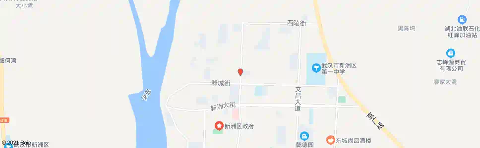 武汉齐安大道区财政局_公交站地图_武汉公交_妙搜公交查询2025