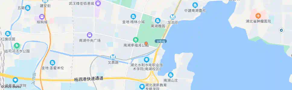 武汉文馨街大华社区_公交站地图_武汉公交_妙搜公交查询2025