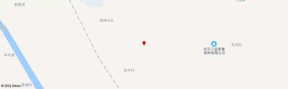 武汉东风路永丰村_公交站地图_武汉公交_妙搜公交查询2025