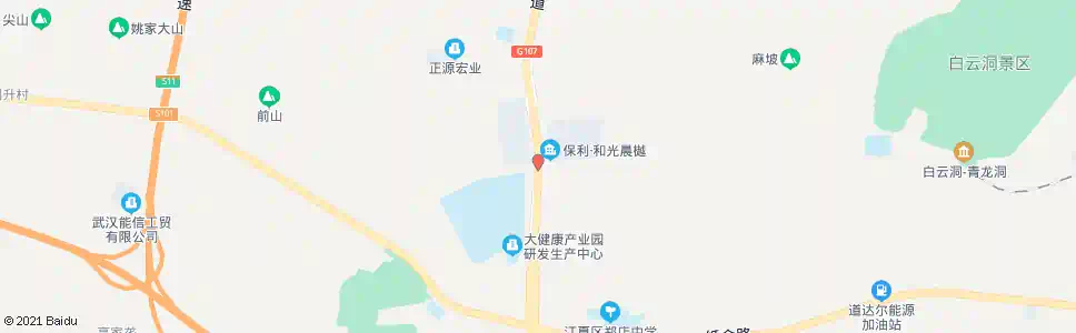 武汉107国道高吴汪_公交站地图_武汉公交_妙搜公交查询2025