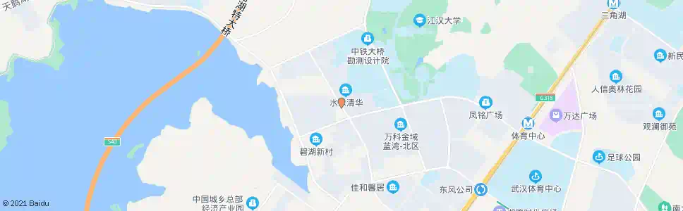 武汉神龙大道碧湖东路_公交站地图_武汉公交_妙搜公交查询2025