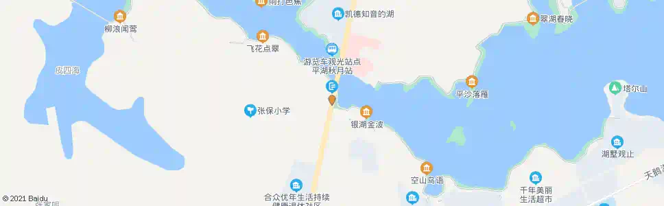 武汉知音湖大道张家渡村_公交站地图_武汉公交_妙搜公交查询2025