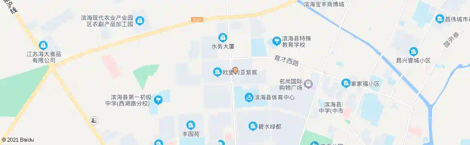 盐城华芳国际(西门)_公交站地图_盐城公交_妙搜公交查询2025