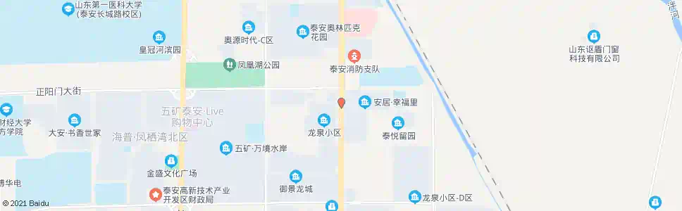 泰安泰洪儿科_公交站地图_泰安公交_妙搜公交查询2025