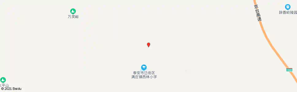 泰安西林_公交站地图_泰安公交_妙搜公交查询2025