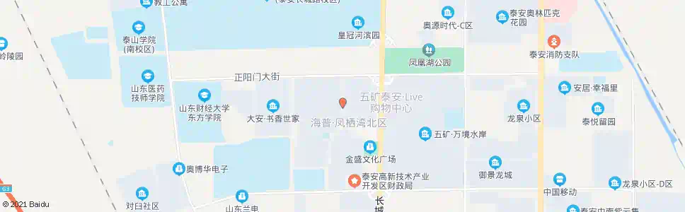 泰安凤凰小区_公交站地图_泰安公交_妙搜公交查询2025