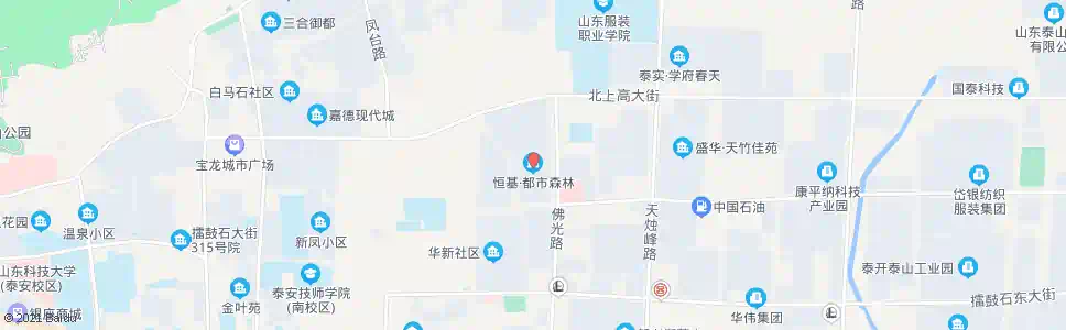 泰安恒基都市森林_公交站地图_泰安公交_妙搜公交查询2025