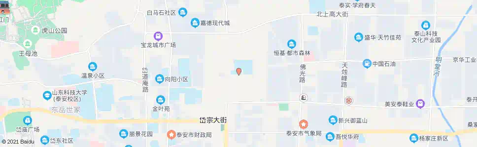 泰安凤台小学_公交站地图_泰安公交_妙搜公交查询2025