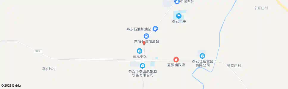 泰安夏张农技种子站_公交站地图_泰安公交_妙搜公交查询2025