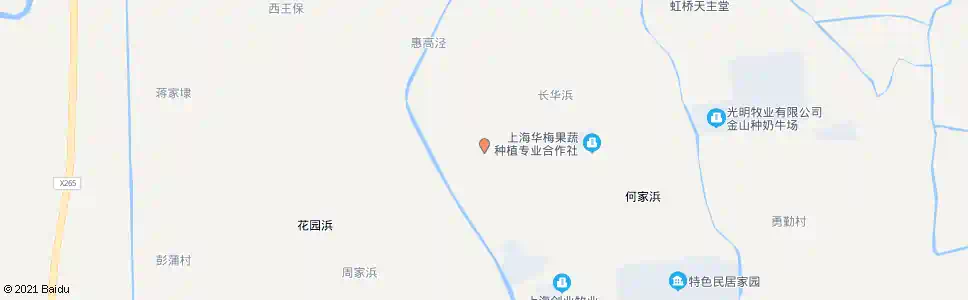 上海向友支路_公交站地图_上海公交_妙搜公交查询2025