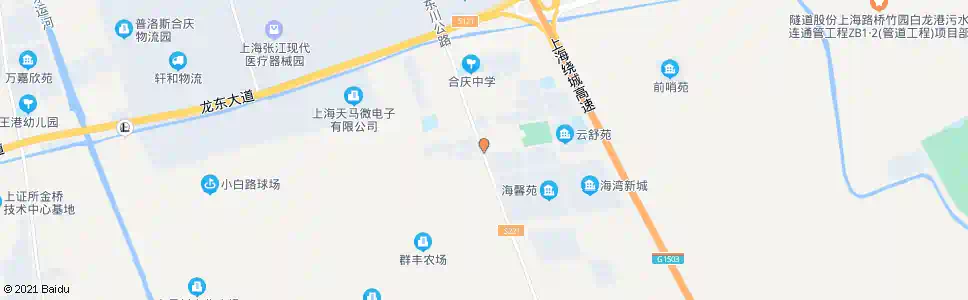 上海东川公路滨洲路_公交站地图_上海公交_妙搜公交查询2025