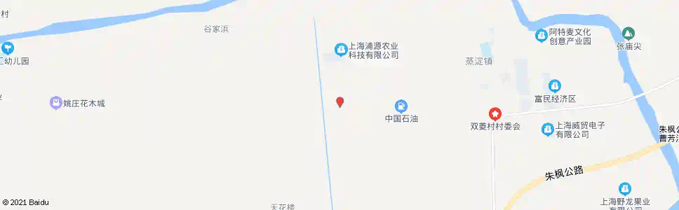 上海蒸俞路东淇村_公交站地图_上海公交_妙搜公交查询2025