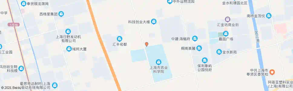 上海广丰路望园南路_公交站地图_上海公交_妙搜公交查询2025