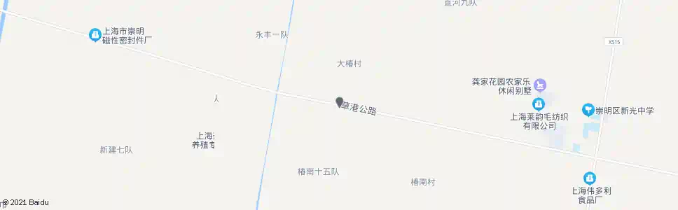 上海大椿一队_公交站地图_上海公交_妙搜公交查询2025