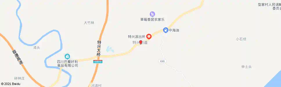 泸州特兴镇政府_公交站地图_泸州公交_妙搜公交查询2025