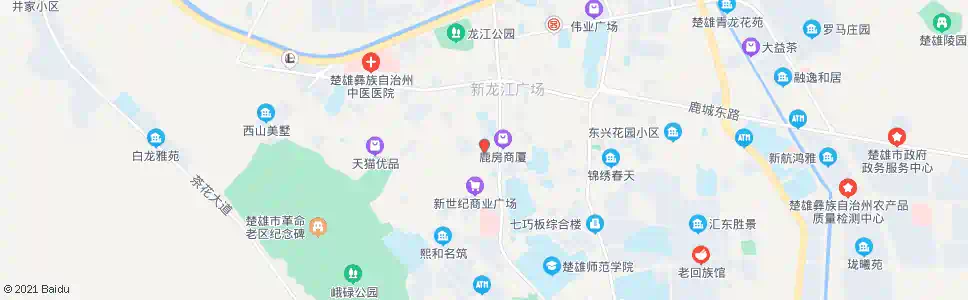 楚雄百货大楼_公交站地图_楚雄公交_妙搜公交查询2025
