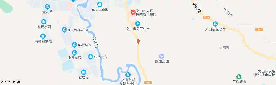 文山藤子寨岔路_公交站地图_文山公交_妙搜公交查询2025